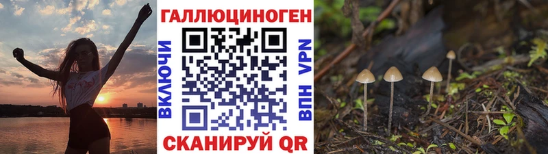 darknet наркотические препараты  Богданович  Псилоцибиновые грибы мицелий  гидра  